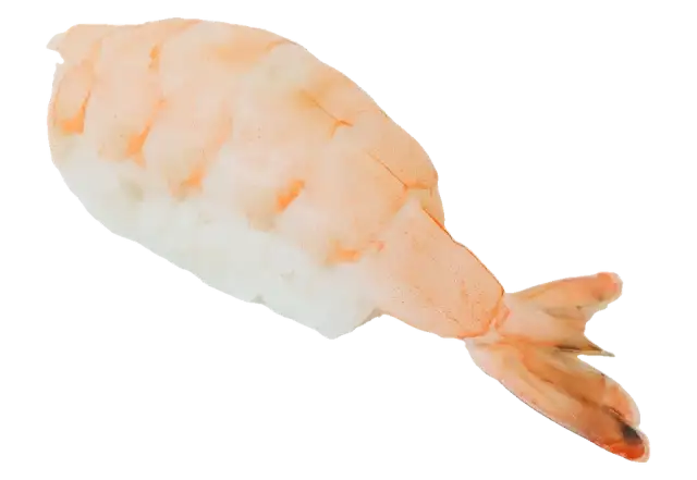 Shiro Nigiri