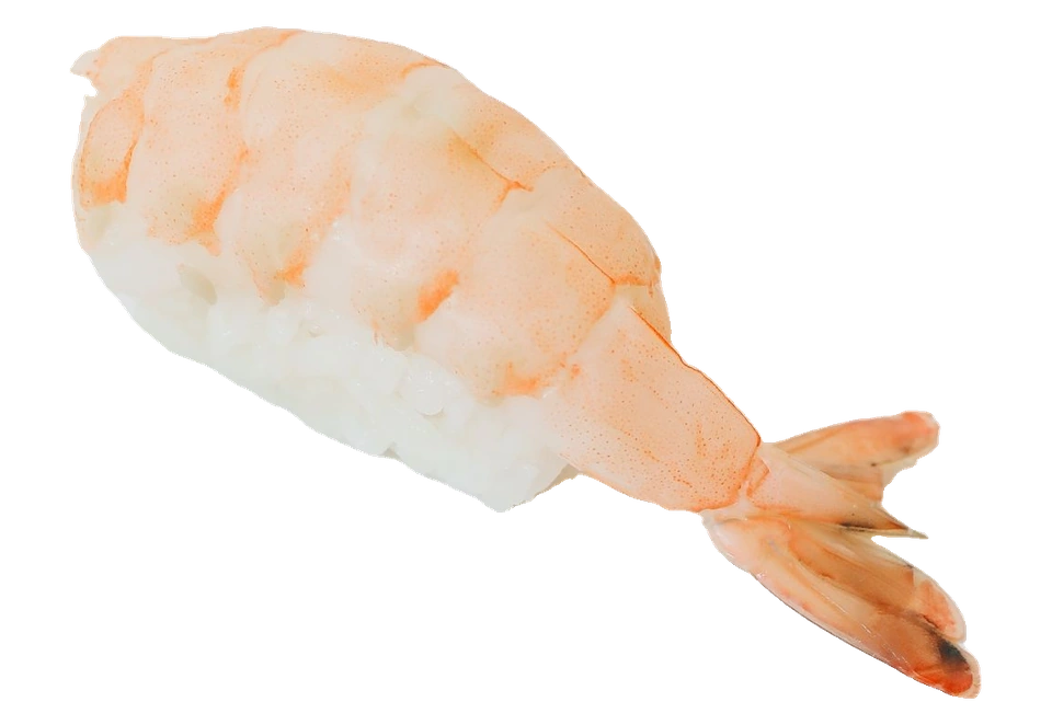 Shiro Nigiri
