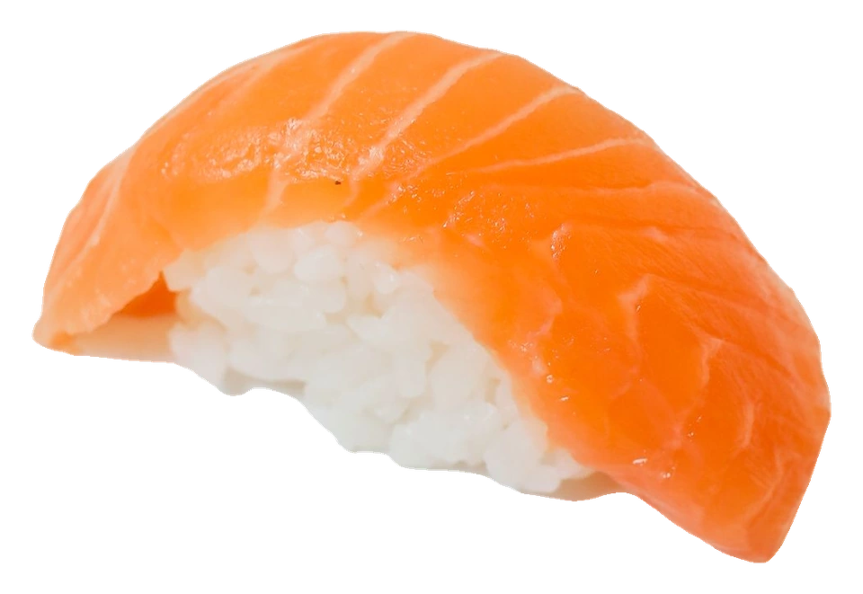 Sake Nigiri